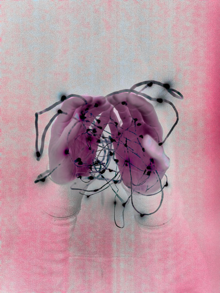 Image: Forrest Simmons, Small Universe Remix